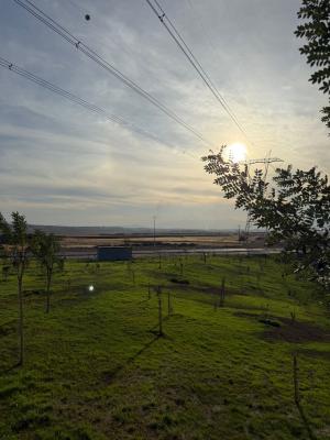 Kahramanmaraş Tomsuklu OSB’de Yeşil Dönüşüm Başladı: Peyzaj Çalışmalarıyla Sürdürülebilir Bir Çevre Hedefleniyor