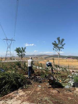 Kahramanmaraş Tomsuklu OSB’de Yeşil Dönüşüm Başladı: Peyzaj Çalışmalarıyla Sürdürülebilir Bir Çevre Hedefleniyor
