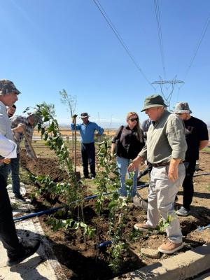 Kahramanmaraş Tomsuklu OSB’de Yeşil Dönüşüm Başladı: Peyzaj Çalışmalarıyla Sürdürülebilir Bir Çevre Hedefleniyor