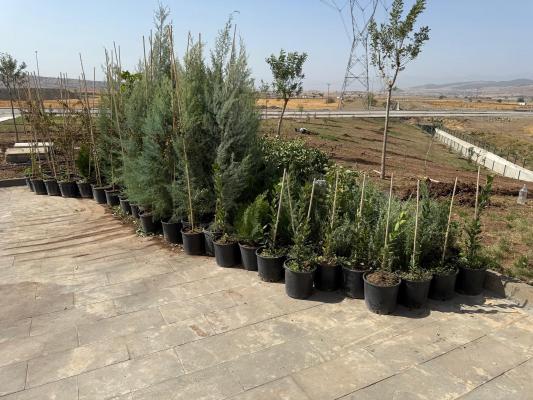 Kahramanmaraş Tomsuklu OSB’de Yeşil Dönüşüm Başladı: Peyzaj Çalışmalarıyla Sürdürülebilir Bir Çevre Hedefleniyor