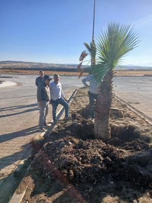Kahramanmaraş Tomsuklu OSB’de Yeşil Dönüşüm Başladı: Peyzaj Çalışmalarıyla Sürdürülebilir Bir Çevre Hedefleniyor