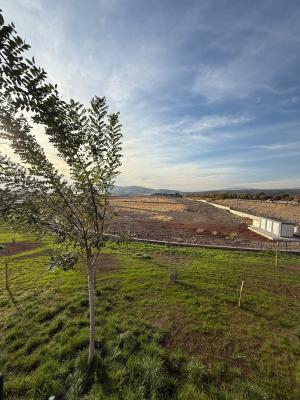 Kahramanmaraş Tomsuklu OSB’de Yeşil Dönüşüm Başladı: Peyzaj Çalışmalarıyla Sürdürülebilir Bir Çevre Hedefleniyor